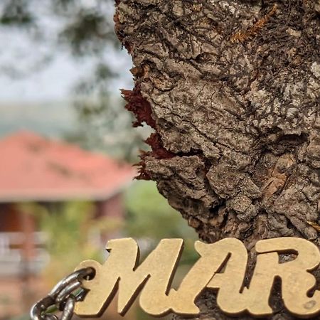 Mars Jungle Adventure Stud Farm With Private Jacuzzi Villa Narsinge Bagian luar foto