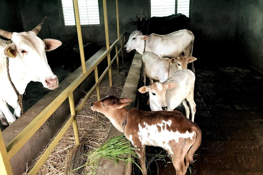 Mars Jungle Adventure Stud Farm With Private Jacuzzi Villa Narsinge Bagian luar foto