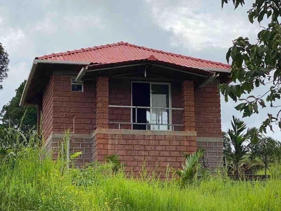 Mars Jungle Adventure Stud Farm With Private Jacuzzi Villa Narsinge Bagian luar foto