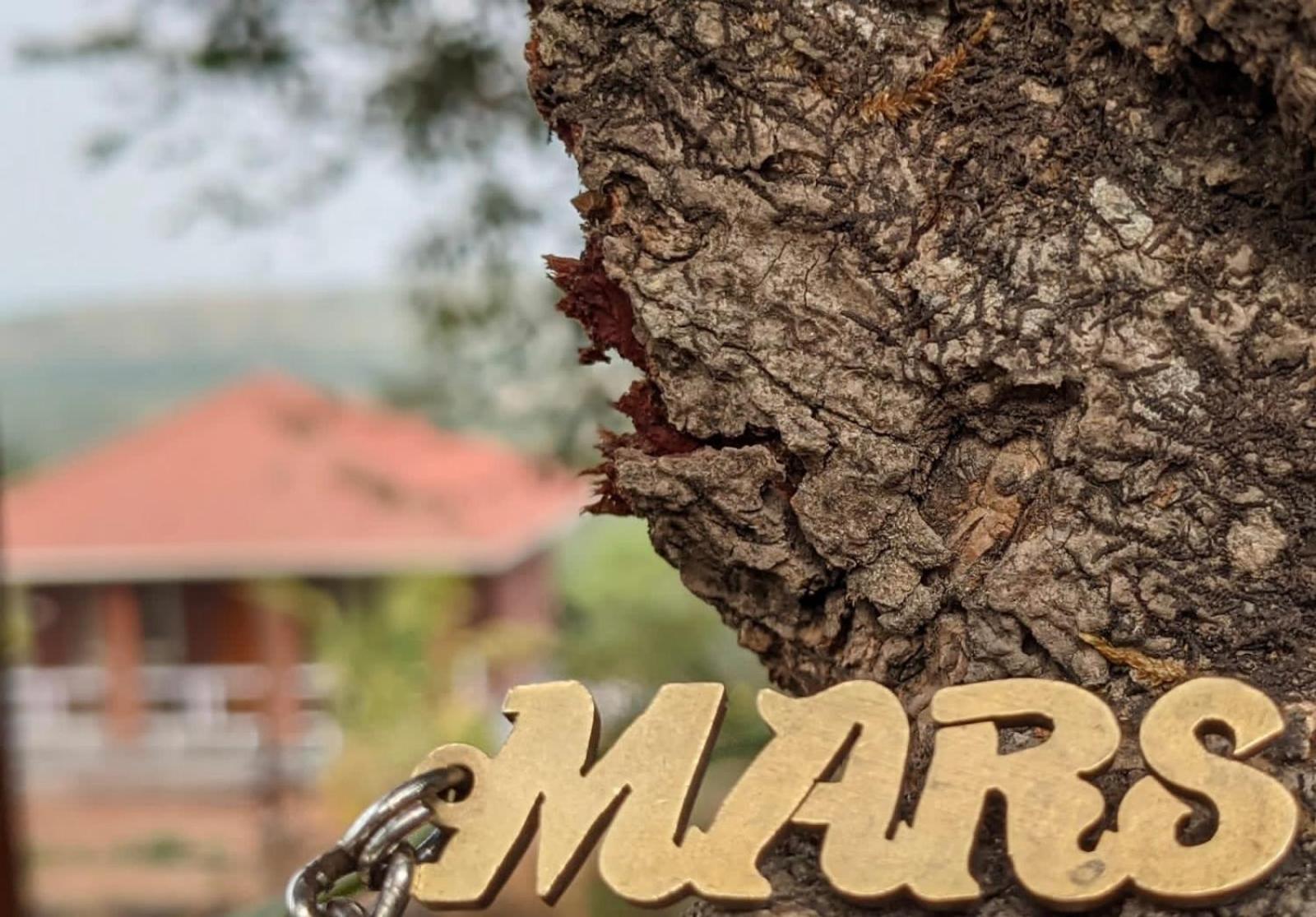 Mars Jungle Adventure Stud Farm With Private Jacuzzi Villa Narsinge Bagian luar foto