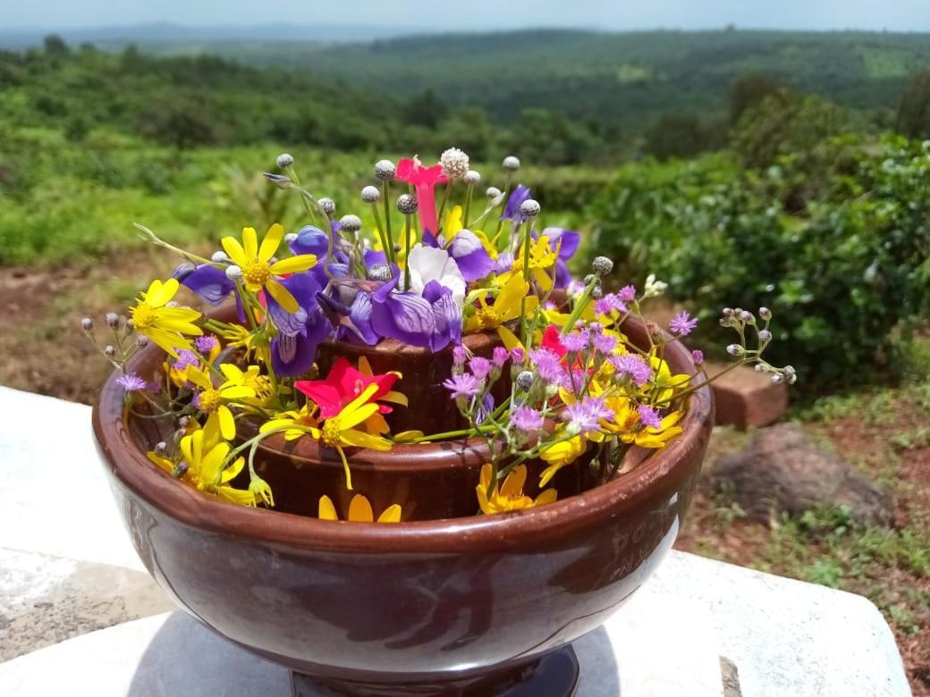 Mars Jungle Adventure Stud Farm With Private Jacuzzi Villa Narsinge Bagian luar foto