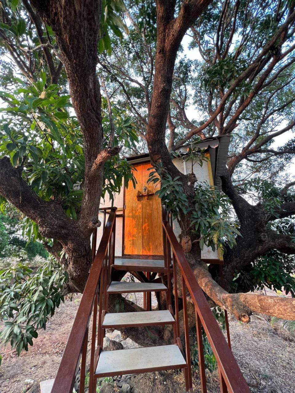 Mars Jungle Adventure Stud Farm With Private Jacuzzi Villa Narsinge Ruang foto