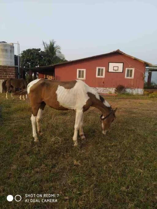 Mars Jungle Adventure Stud Farm With Private Jacuzzi Villa Narsinge Bagian luar foto